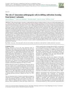 The role of Amazonian anthropogenic soils in shifting cultivation