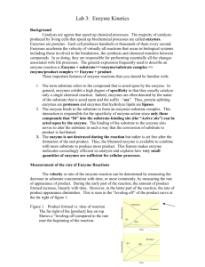 PDF Lab 3: Enzyme Kinetics