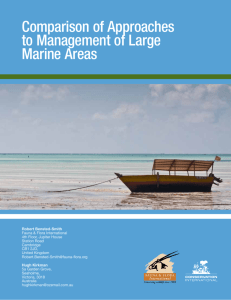 Comparison of Approaches to Management of Large