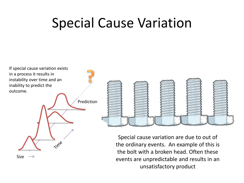 special cause examples