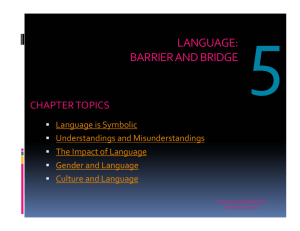 language: barrier and bridge