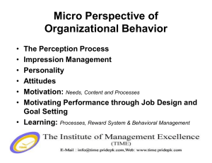 Micro Perspective of Organizational Behavior