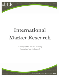 the International Market Research Guide