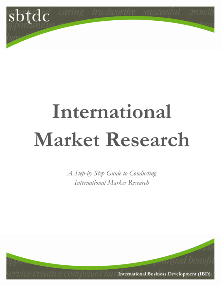 the-international-market-research-guide