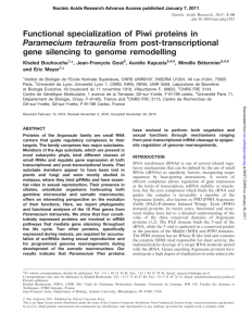 Functional specialization of Piwi proteins in Paramecium