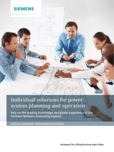 Individual solutions for power system planning and