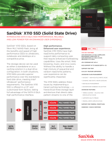 sandisk® X110 ssd (solid state drive)