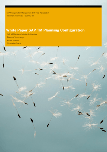 White Paper SAP TM Planning Configuration