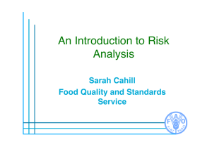 An Introduction to Risk Analysis