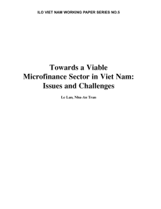 Towards a Viable Microfinance Sector in Viet Nam