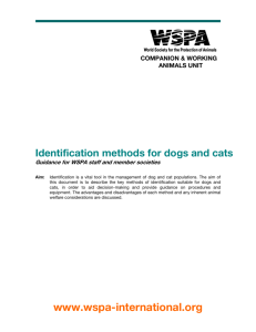 Identification methods for dogs and cats