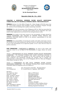 Executive Order No. 15 S. 2013 CREATING A MUNICIPAL
