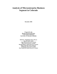 Analysis of the Microenterprise Business Segment in Colorado