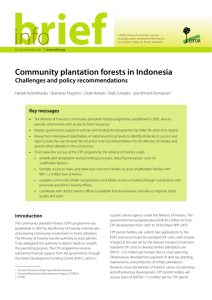 Community plantation forests in Indonesia Challenges and policy