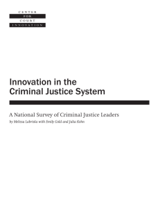 Innovation in the Criminal Justice System