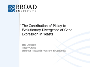 The Contribution of Ploidy to Evolutionary Divergence of Gene
