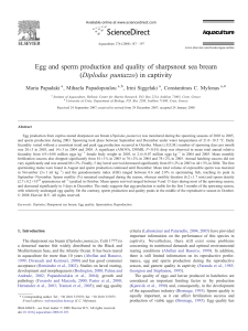 Egg and sperm production and quality of sharpsnout sea bream