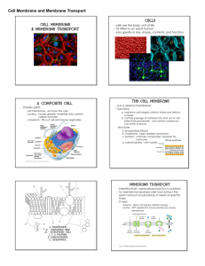 Cell Membrane and Membrane Transport