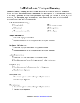 HYPOTHESIS WORKSHEET