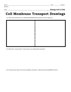 Cell Membrane Transport Drawings