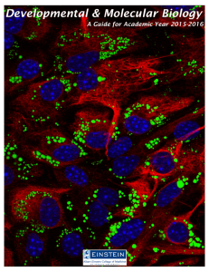 department of developmental and molecular biology