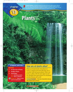 Chapter 13: Plants - Griffith Public Schools