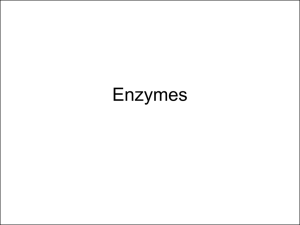 Enzymes and Introduction to Metabolism