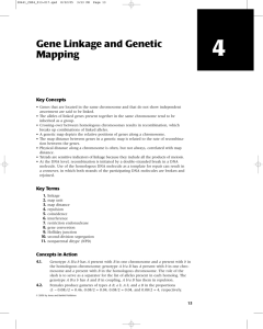 Gene Linkage and Genetic Mapping