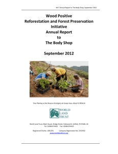 Wood Positive Reforestation and Forest