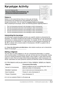 Karyotype Activity