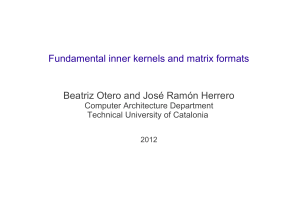 Fundamental inner kernels and matrix formats Beatriz Otero