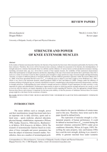 strength and power of knee extensor muscles