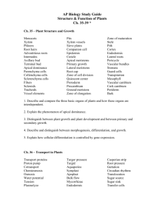 AP Biology Study Guide Structure & Function of Plants Ch. 35