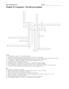 Ch. 37 crossword - The Nervous System