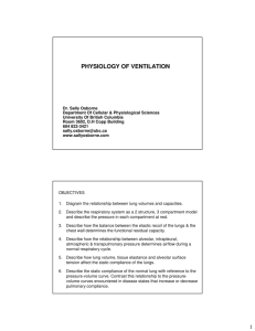 physiology of ventilation