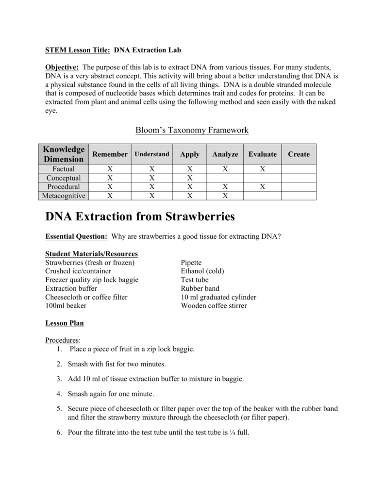DNA Extraction from Strawberries In Strawberry Dna Extraction Lab Worksheet