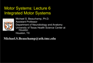Motor Systems: Lecture 6 Integrated Motor Systems