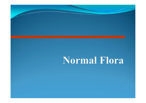 A)What is Normal Flora