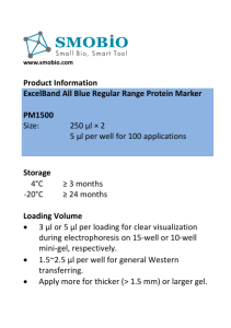 Product Information ExcelBand All Blue Regular Range Protein