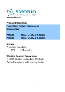 Product Information FluoroStain Protein Fluorescent Staining Dye