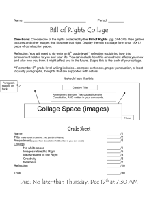 Bill of Rights Collage Collage Space (images)