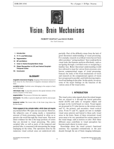 Vision: Brain Mechanisms - Center for Neural Science