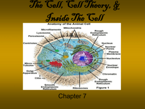 The Cell, Cell Theory, & Inside The Cell