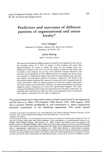 Predictors and outcomes of different patterns of organizational and