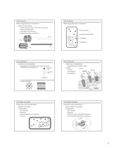 Cell structure What do all cells have in common? Cell structure What