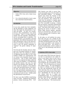 DNA Isolation and Genetic Transformation page 66