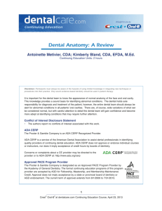 Dental Anatomy: A Review