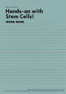 Hands-on with Stem Cells! - Institute for Integrated Cell