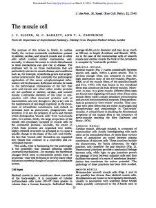 The muscle cell - Journal of Clinical Pathology