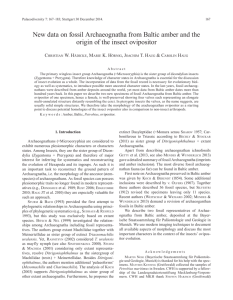 New data on fossil Archaeognatha from Baltic amber and the origin